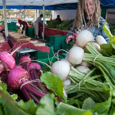 Beet