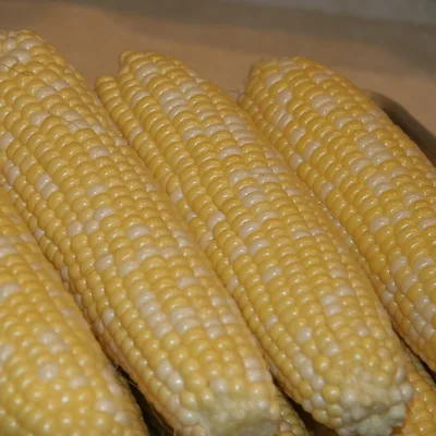 Corn