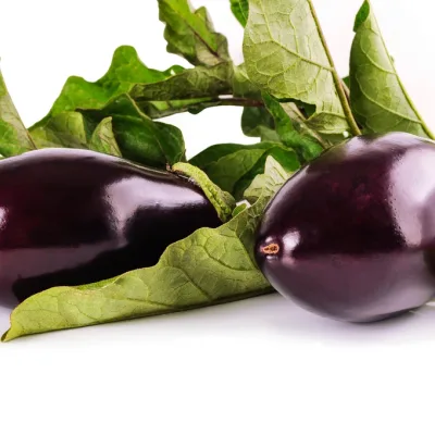 Eggplant