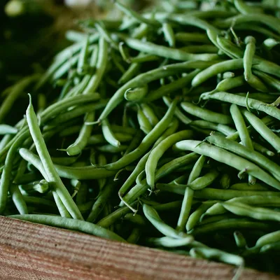 Green Bean