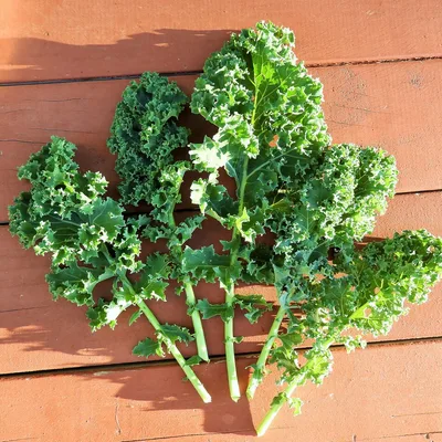 Kale