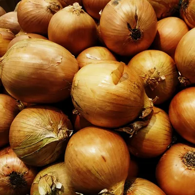 Onion