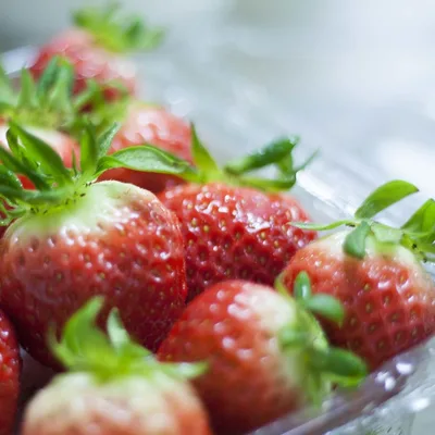 Strawberry