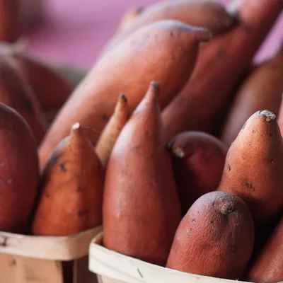 Sweet Potato