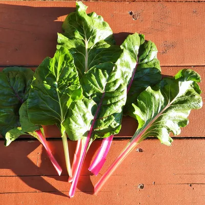 Swiss Chard