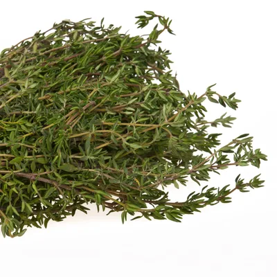 Thyme