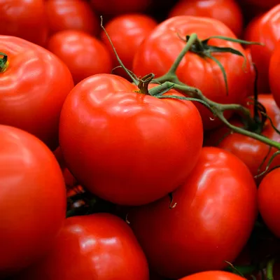 Tomato
